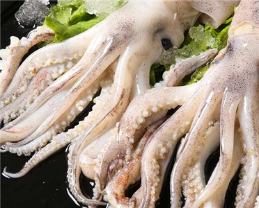 Squid head